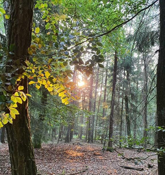 Natuurpark in Drenthe