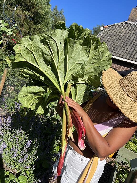 Arienne oogst in haar eigen groentetuin
